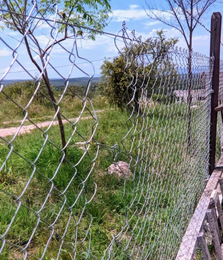 Desvalijaron a una pareja de turistas: “Nos vamos y no volvemos más”