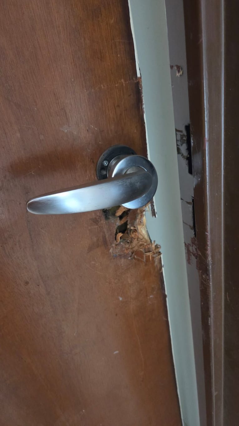 Desvalijaron departamentos de estudiantes y los grabaron: es el sexto seguido y hay graves sospechas