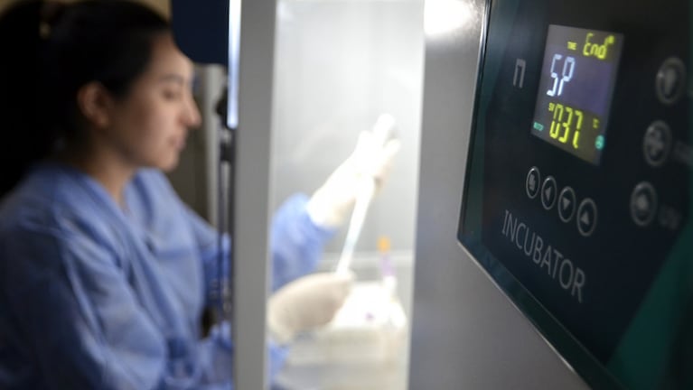 Detectan en Argentina seis casos de un rarísimo grupo sanguíneo: qué es el Gerbich negativo