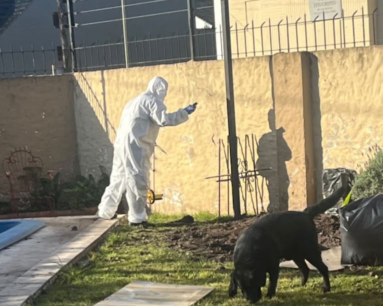 Detenido acusado de matar a su madre y enterrarla en el patio de su casa. Imagen: TN.
