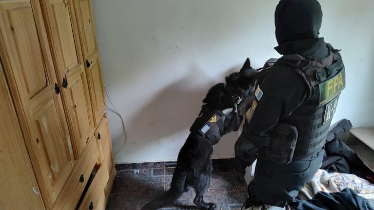Detuvieron a dos hermanos por vender cocaína en Saldán. (Imagen: Ministerio Público Fiscal).