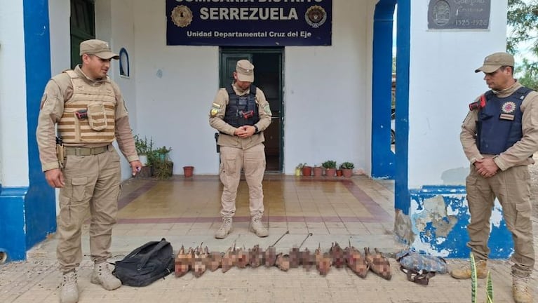 Detuvieron a tres jóvenes por caza ilegal de quirquinchos en el norte cordobés.