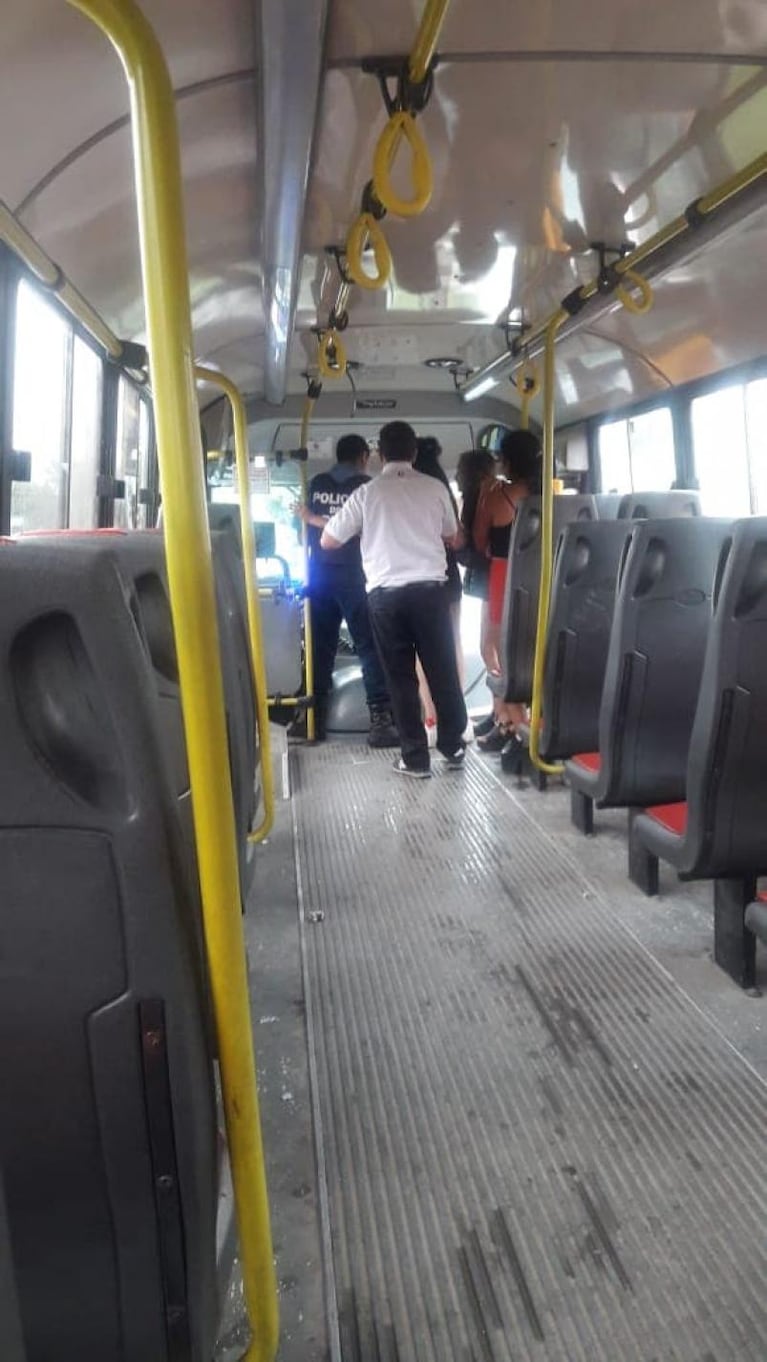 Detuvieron a un chofer de colectivo por robar a una pasajera