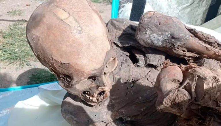 Detuvieron a un delivery que paseaba con una momia de más de 600 años