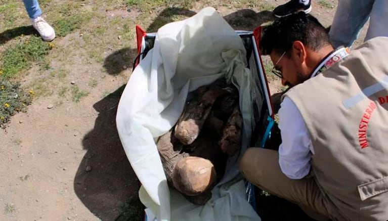 Detuvieron a un delivery que paseaba con una momia de más de 600 años