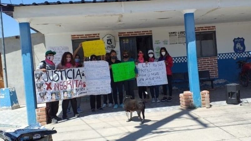 Detuvieron a un hombre acusado de violar y matar a una perra. 