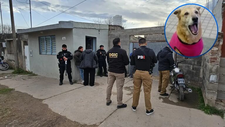 Detuvieron al agresor de la perra Tita en San Francisco. Imagen: La Voz de San Justo. 