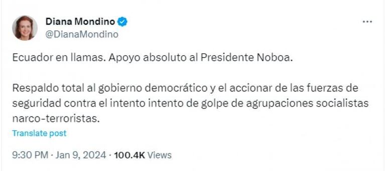 Diana Mondino denunció a grupos "socialistas narco-terroristas" por ataques en Ecuador