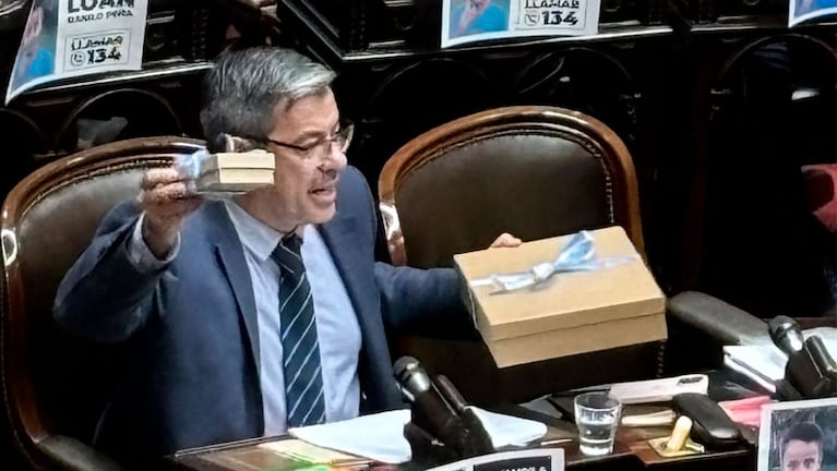 Diputados aprobó la Ley Bases de manera definitiva y restituyó Ganancias en el paquete fiscal