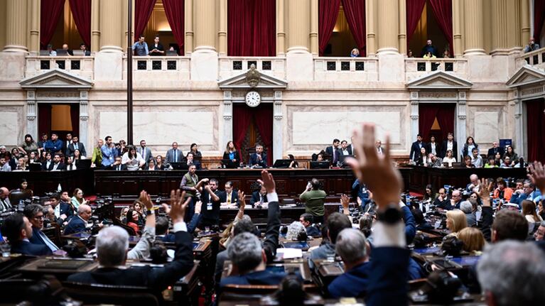 Diputados confirmó el veto a la ley de financiamiento.