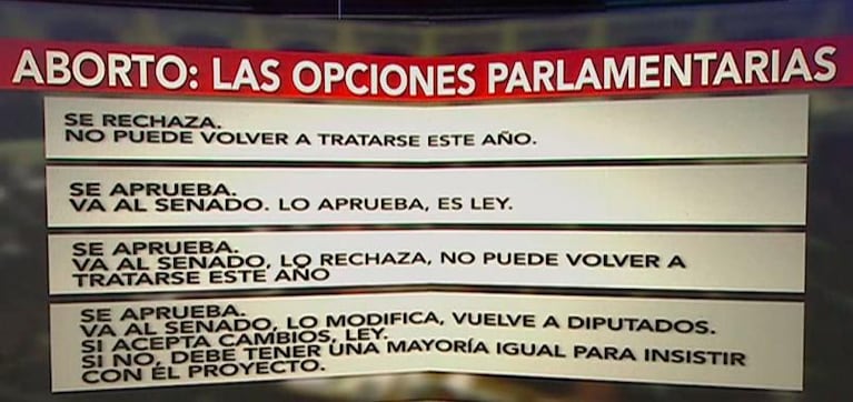 Diputados dio media sanción a la legalización del aborto