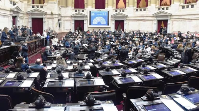 Diputados rechazó el veto a la Emergencia en Discapacidad.