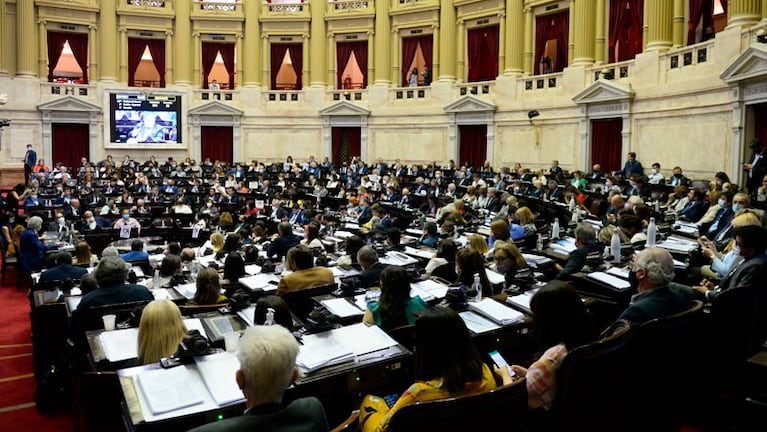 Diputados volvió a sesionar bajo modalidad presencial.