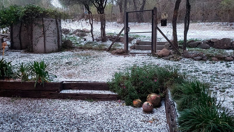 Distintas zonas amanecieron cubiertas de blanco. Foto: Iván Mako.