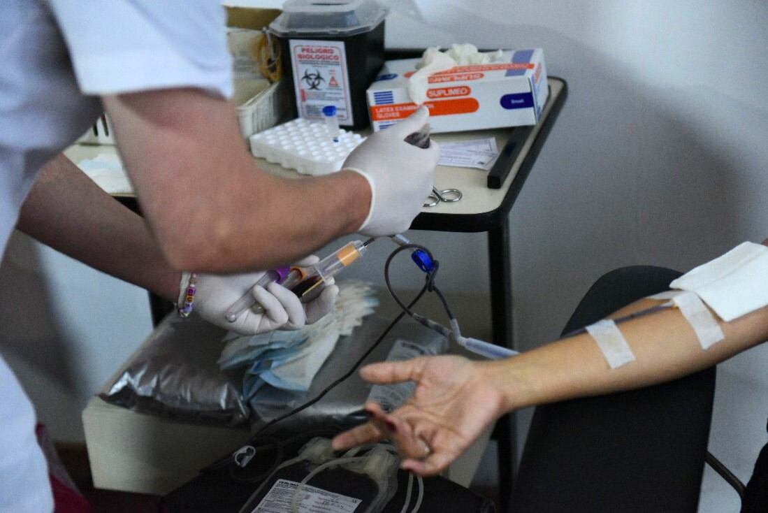 donacion de sangre