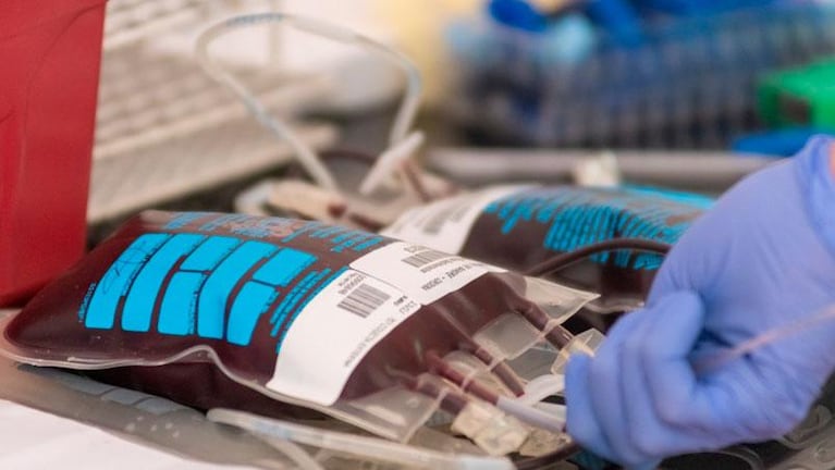 Dónde donar sangre en Córdoba: requisitos y horarios