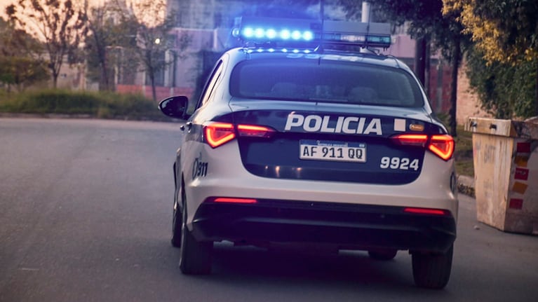 Dos dogos atacaron a una nena de 2 años en Córdoba: sufrió un paro y lograron reanimarla