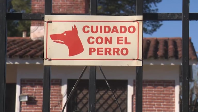 Dos perros atacaron salvajemente a un ladrón que intentó ingresar a una casa.