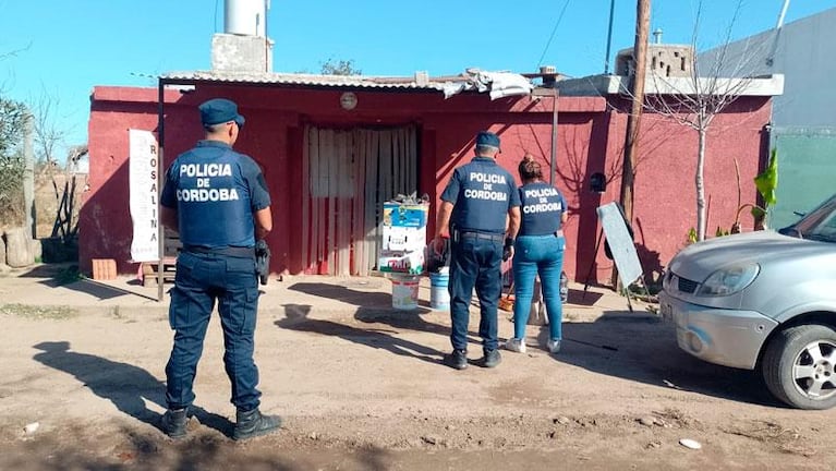 Dos pitbull mataron a un caniche: aseguran que había denuncias contra la dueña