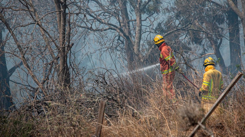 Dos semanas de incendios en Córdoba.