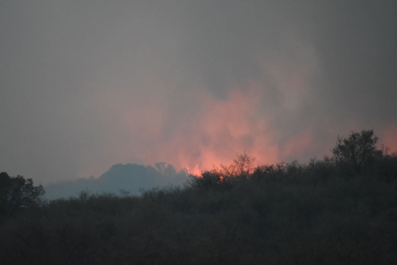 Dotaciones de bomberos y aviones hidrantes combaten las llamas. Foto: Lucio Casalla / ElDoce.tv