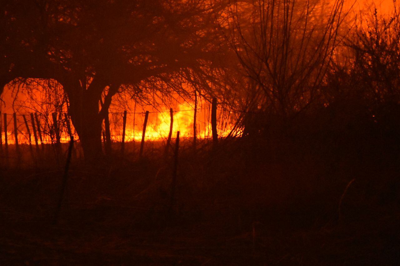 Dotaciones de bomberos y aviones hidrantes combaten las llamas. Foto: Lucio Casalla / ElDoce.tv