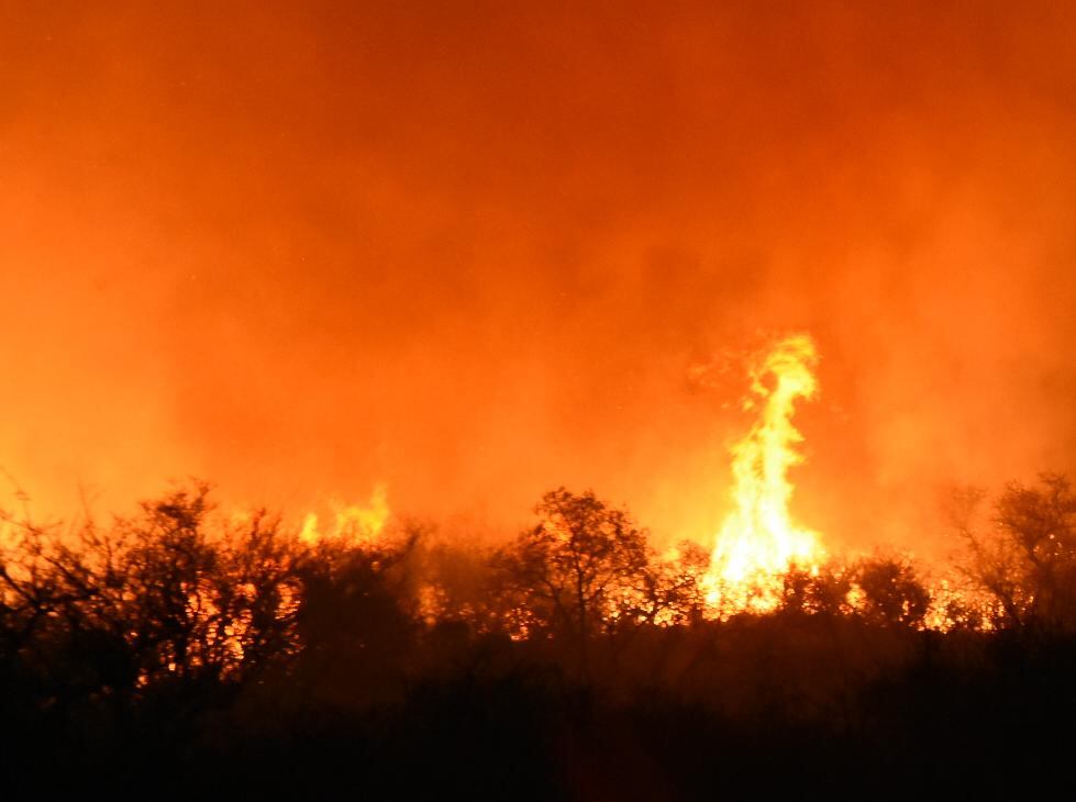 Dotaciones de bomberos y aviones hidrantes combaten las llamas. Foto: Lucio Casalla / ElDoce.tv