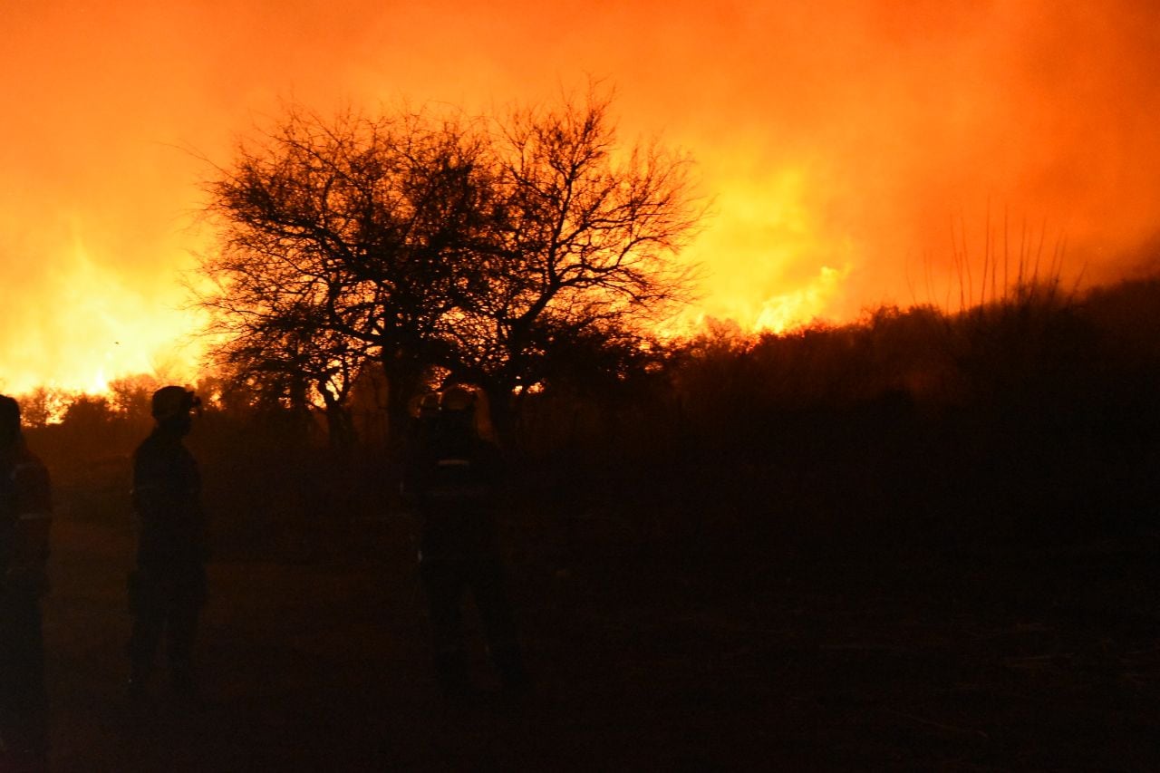 Dotaciones de bomberos y aviones hidrantes combaten las llamas. Foto: Lucio Casalla / ElDoce.tv