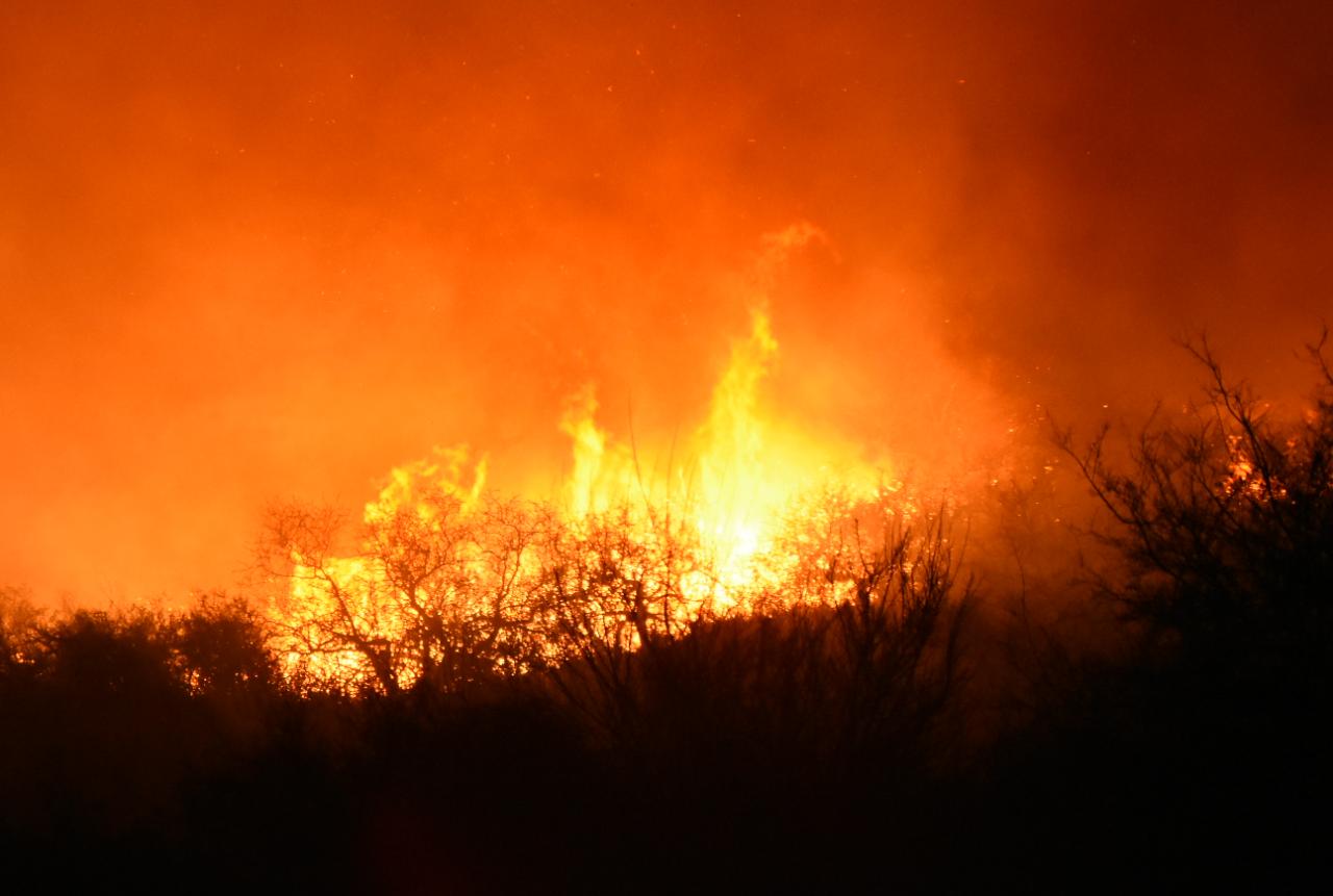 Dotaciones de bomberos y aviones hidrantes combaten las llamas. Foto: Lucio Casalla / ElDoce.tv