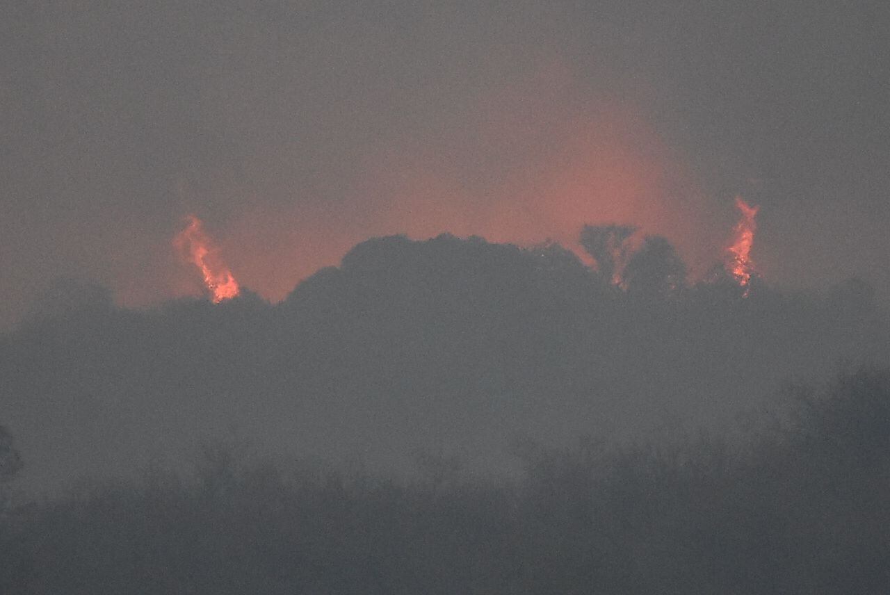 Dotaciones de bomberos y aviones hidrantes combaten las llamas. Foto: Lucio Casalla / ElDoce.tv