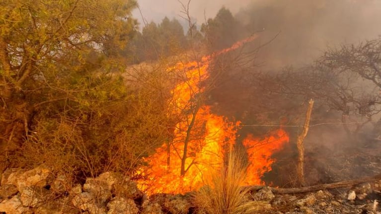 Dueño de restaurante quiso combatir el incendio, se descompensó y murió