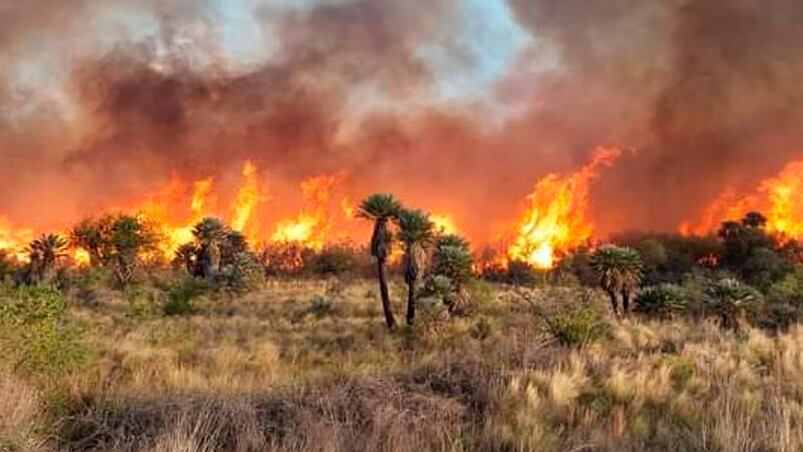 Dueños de campos aseguran haber sufrido pérdidas millonarias. (Foto: Traslasierra Noticias)