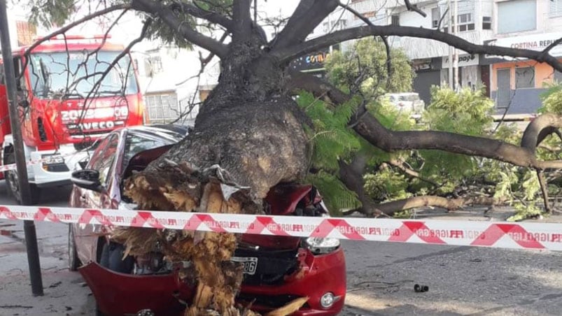 El accidente ocurrió durante la mañana de este sábado.