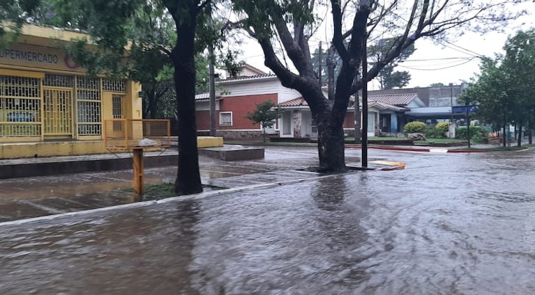 El agua colapsó calles en distintas localidades. 