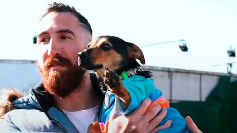 El animal deberá seguir asilado durante 21 días.