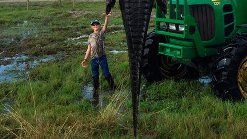 El animal fue cazado en una granja de Estados Unidos. 