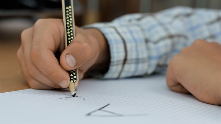 El aprendizaje de los estudiantes argentinos, bajo la lupa.