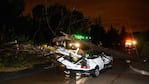 El árbol cayó encima del auto y mató a la beba. 