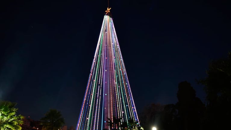 El árbol de Navidad gigante, un orgullo cordobés. Foto: Maxi López / ElDoce.tv