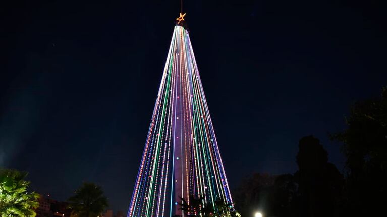 El árbol de Navidad gigante, un orgullo cordobés. Foto: Maxi López / ElDoce.tv