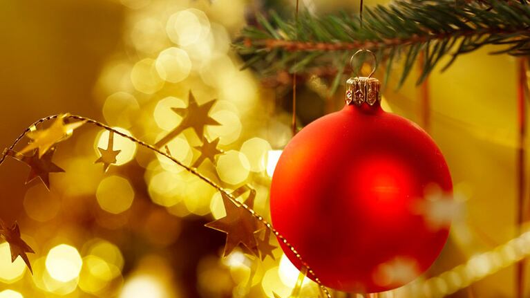 El árbol de Navidad lleva bolas, guirnaldas, luces y una estrella.