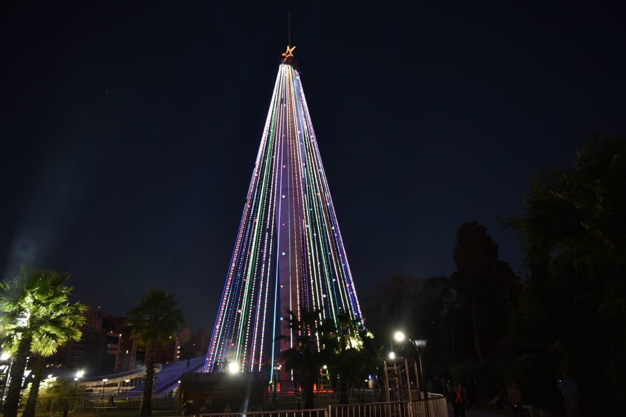 El árbol instalado en el Faro del Bicentenario es uno de los más grandes de Sudamérica. Foto: Maxi López / ElDoce.tv