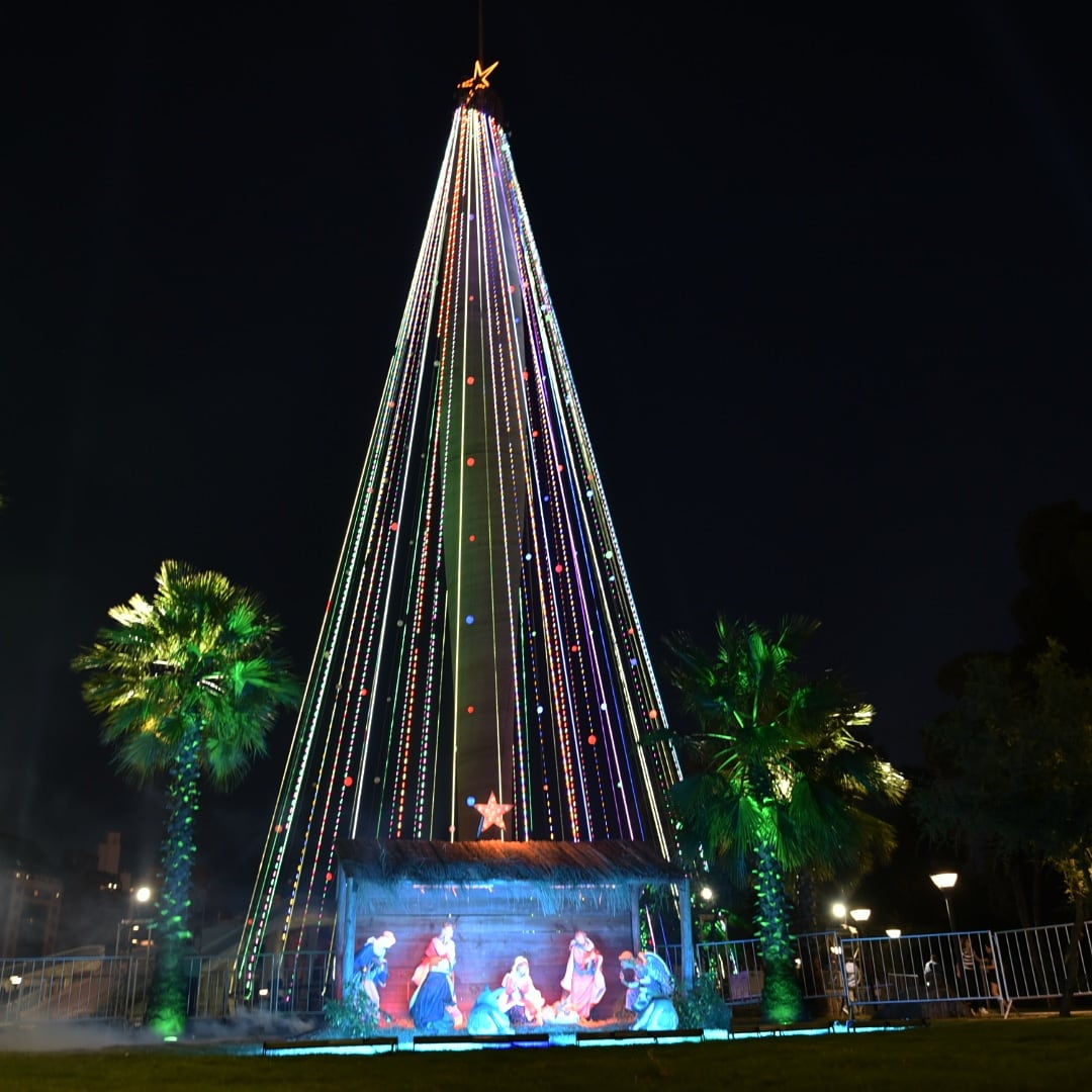 El árbol instalado en el Faro del Bicentenario es uno de los más grandes de Sudamérica. Foto: Maxi López / ElDoce.tv