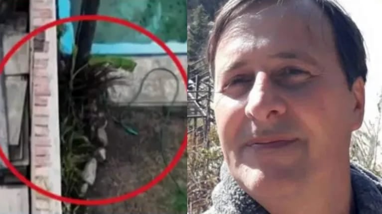 El árbol que complica a Graf.