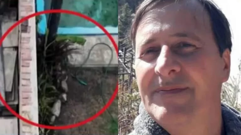 El árbol que complica a Graf.