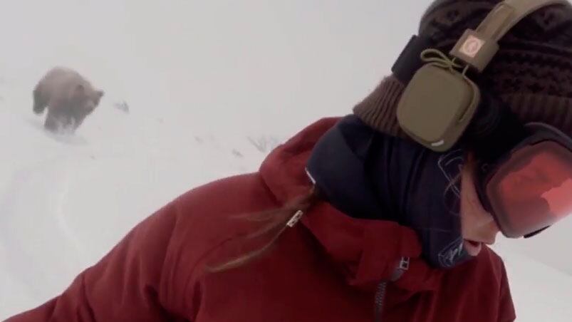 El ataque del oso ocurrió en la pista de Hakuba 47.  