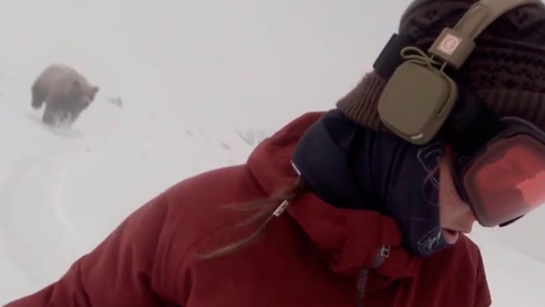 El ataque del oso ocurrió en la pista de Hakuba 47.  