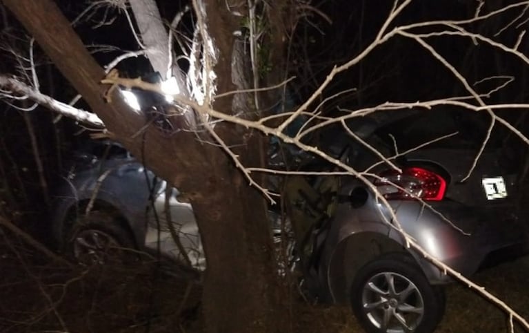 El auto impactó de costado contra el árbol a un lado del asfalto.