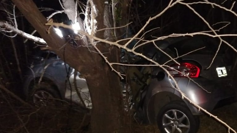 El auto impactó de costado contra el árbol a un lado del asfalto.