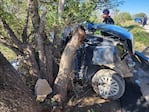 El auto, que se estrelló contra un árbol, era robado. 